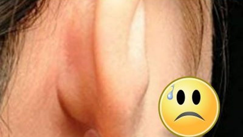 小标题：行业现状：网站建设市场鱼龙混杂
